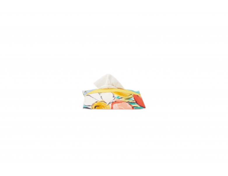 Pocket Size Tissue Cover